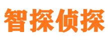 安康市侦探公司